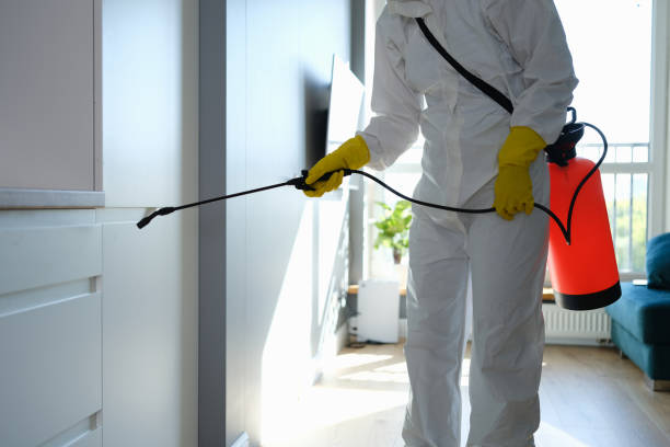 Best Black Mold Removal  in Heppner, OR