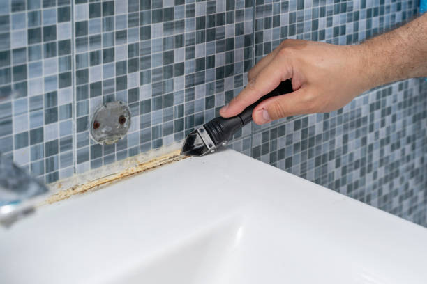 Best Mold Damage Repair  in Heppner, OR
