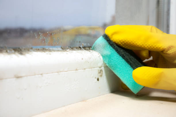 Best Residential Mold Removal  in Heppner, OR