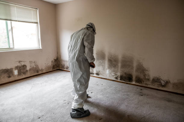 Best Mold Testing  in Heppner, OR