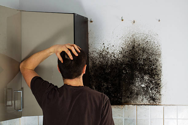 Best Certified Mold Removal  in Heppner, OR