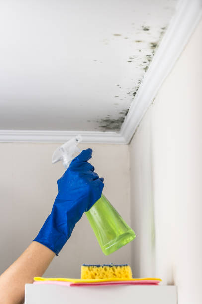 Home Mold Removal in Heppner, OR